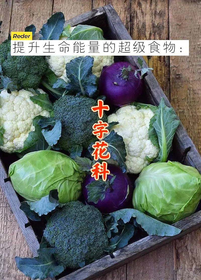 宇宙疗愈食物之：十字花科类蔬菜【下】