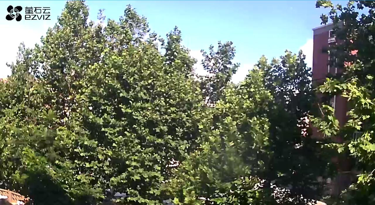 下午15：20市区天气晴，气温23.7度，相对湿度70%，吹偏南风，目前大连地区