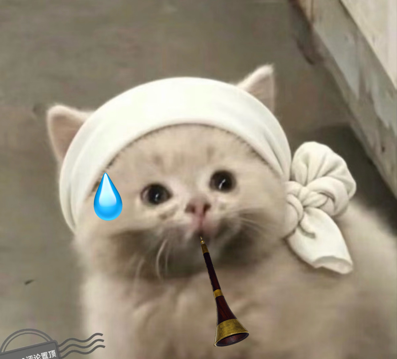 除了莲谁还在周一逗我笑啊 