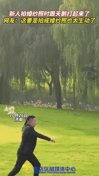“这下真解释不清了！”济南一对新人结婚，准备在一公园里拍婚纱照，结果跑来一只黑天