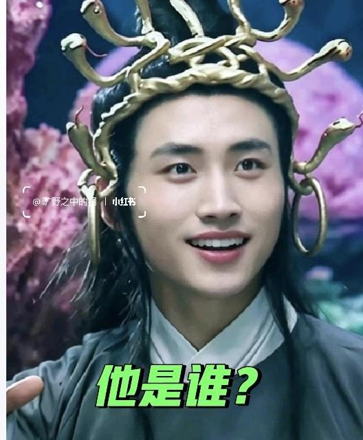 这个人是谁？记得吗？他是谁？
这个人印象不深了，只记得公主喜欢他，小时候不理解，