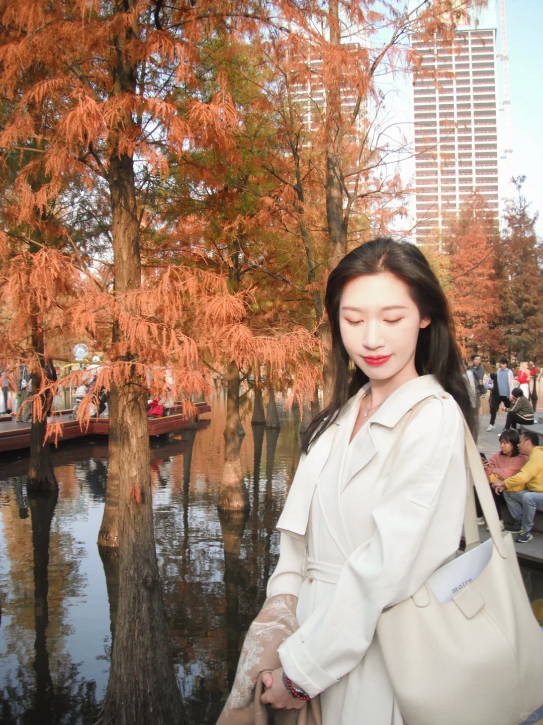 佛山0元拍照📷千灯湖落叶杉🍂冬日的浪漫💕