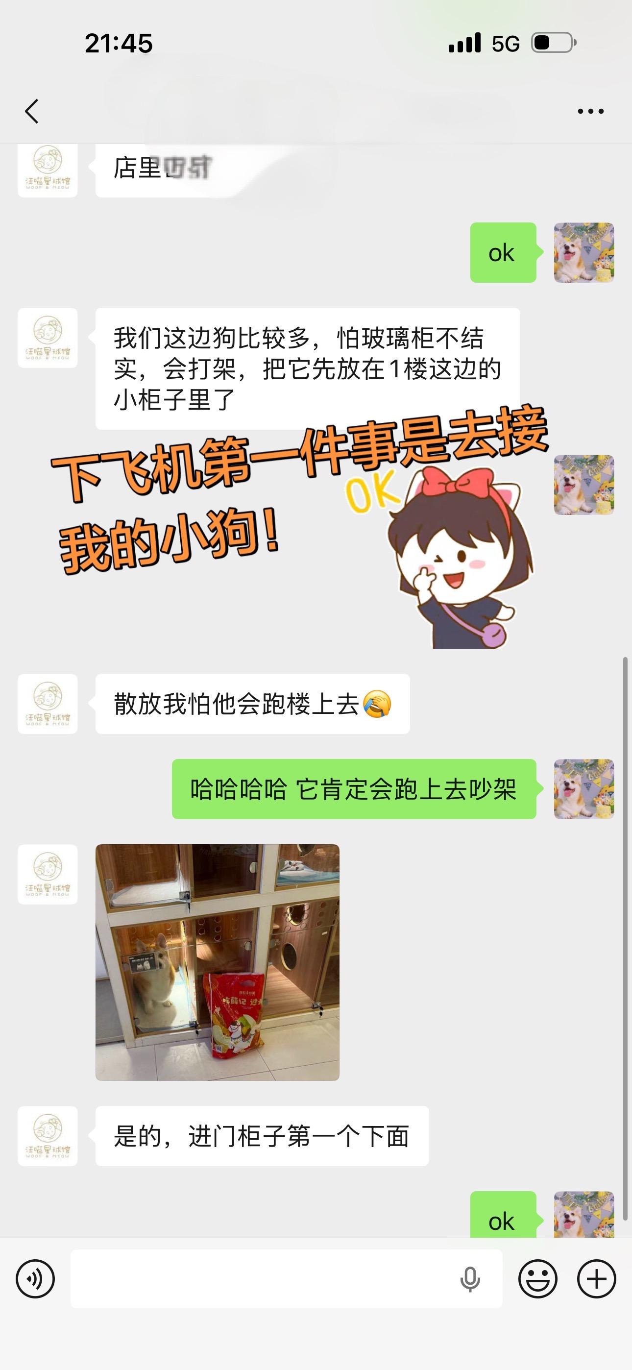 下飞机第一件事是接小狗。飞机落地和宠物店表达了想接小狗的迫切心情，宠物...