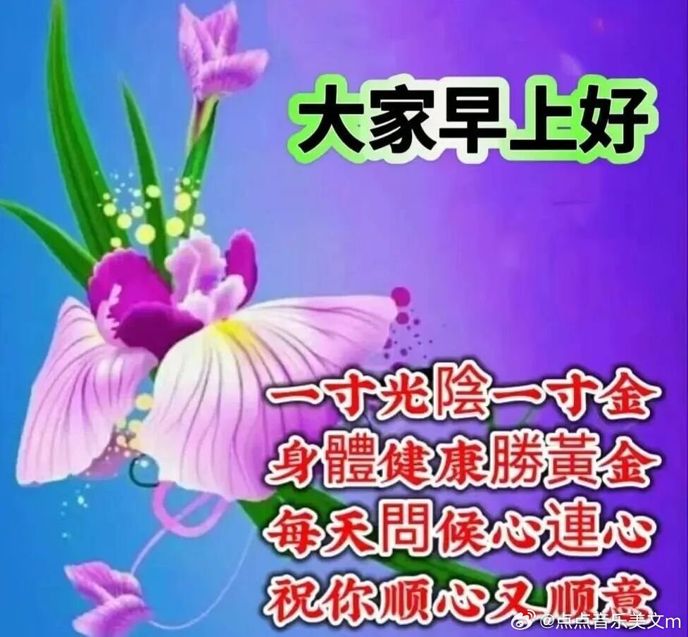 一堤烟柳万丝柔情 💗🎀🌴不是人人都懂你   每个人立场不同，终究没法都共情