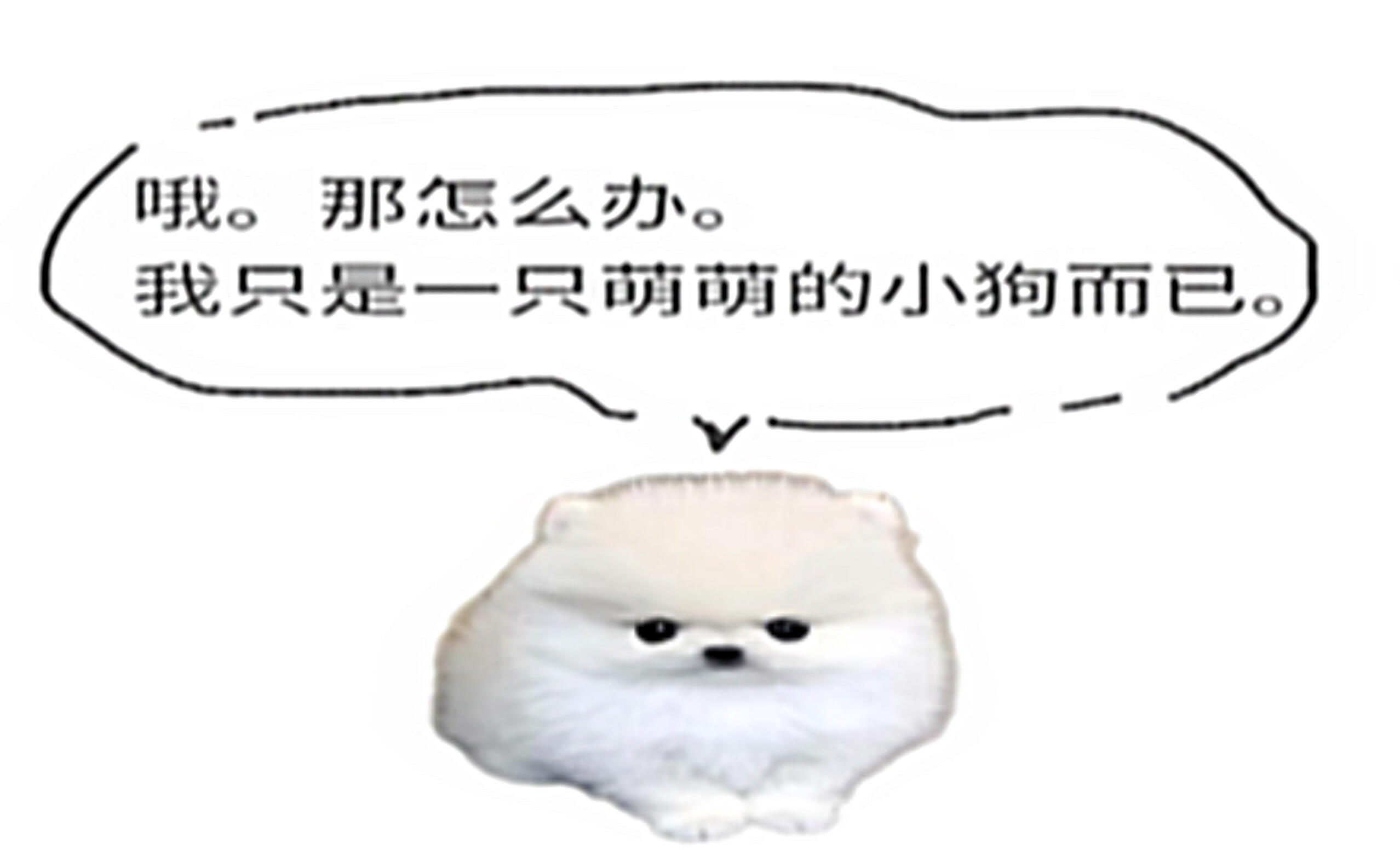 2000世界有时坚硬如冰，而你的一个微笑、一句关怀，便是融化寒冰的暖流。别低估这
