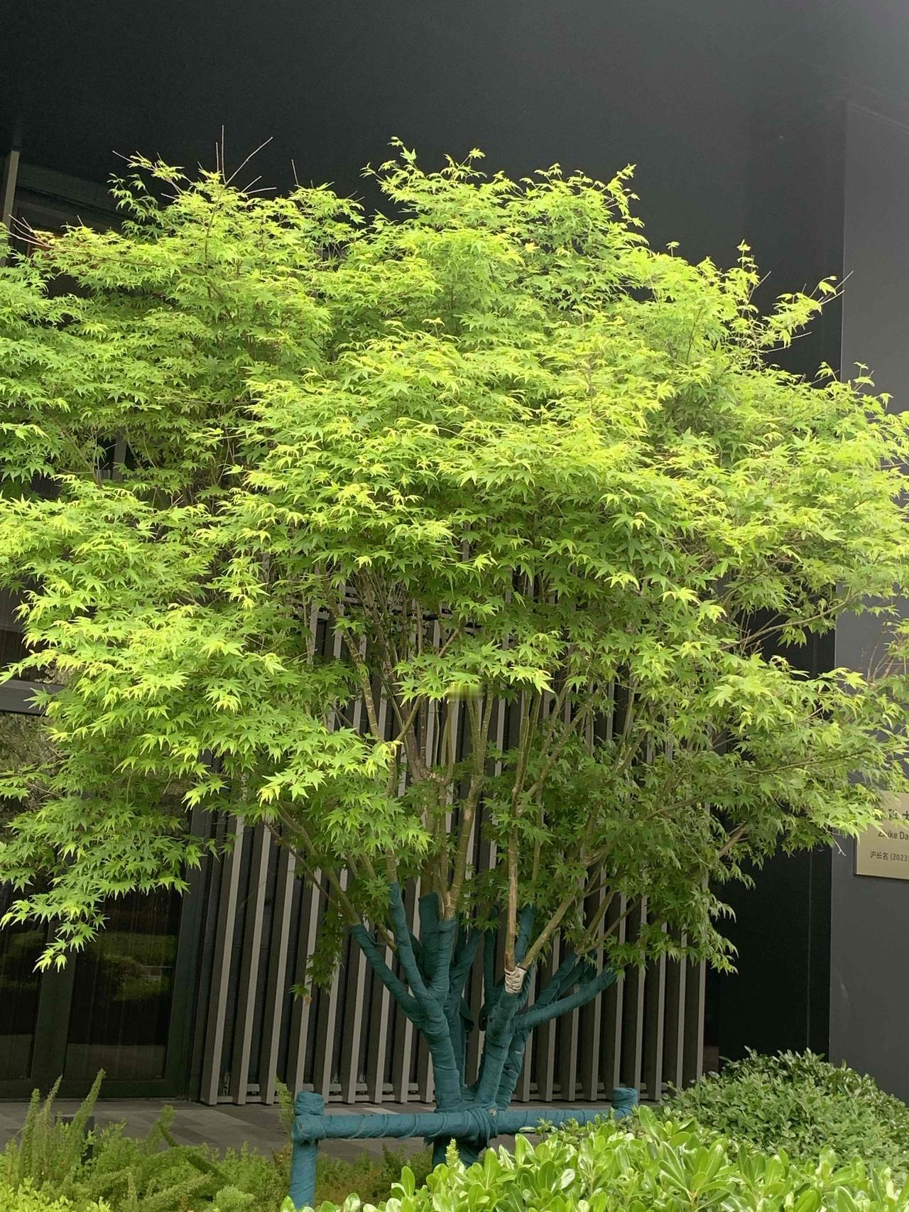 心态好不好，还真得由自己决定。
生活中，总有各种不如意。有人遇到点挫折就怨天尤人