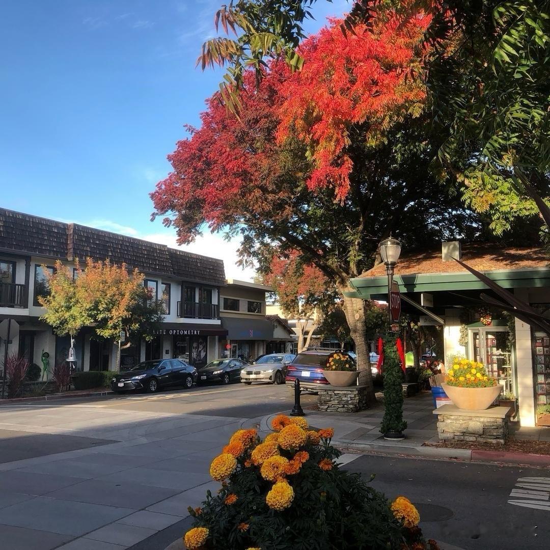 周末逛旧金山南湾的洛斯阿尔托斯（Los Altos）小镇，紧邻帕洛阿尔托、山景城
