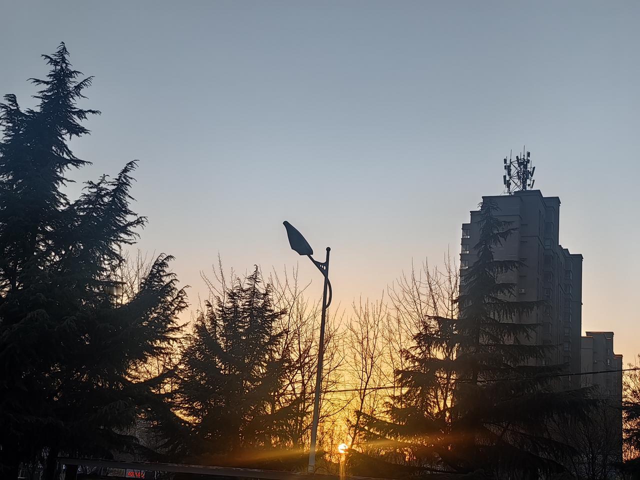 夕阳的穿透力，依然那么热烈，那么活力。[送自己一朵花][送自己一朵花][送自己一