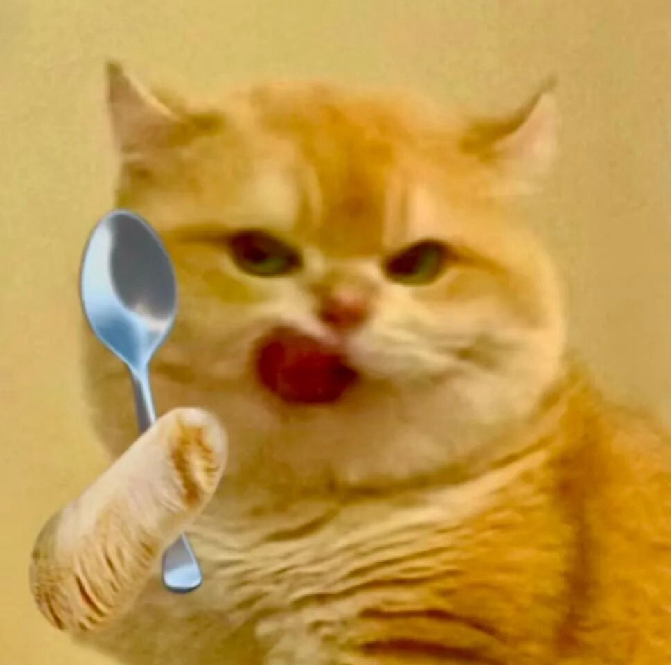 哈哈哈这周全是2 