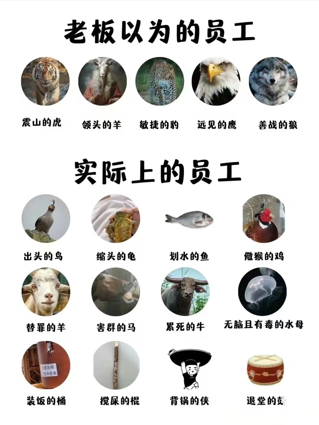 各位，自己来对号入座吧[笑cry][笑cry][笑cry] ​​​