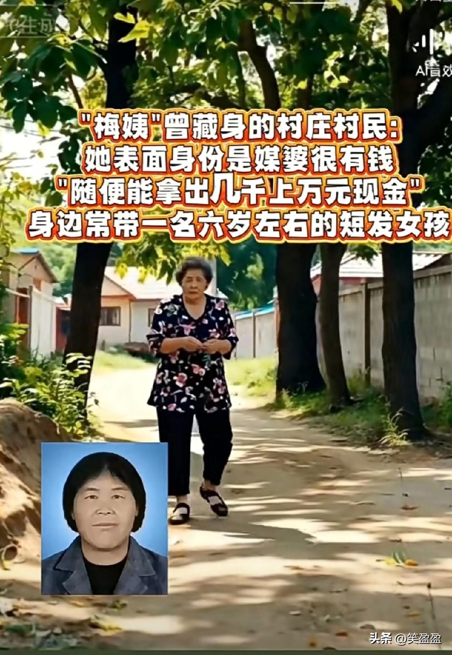 "梅姨"曾藏身的村庄
村民称梅姨表面身份是媒婆
外表普通,脸比肖像画还要大点,