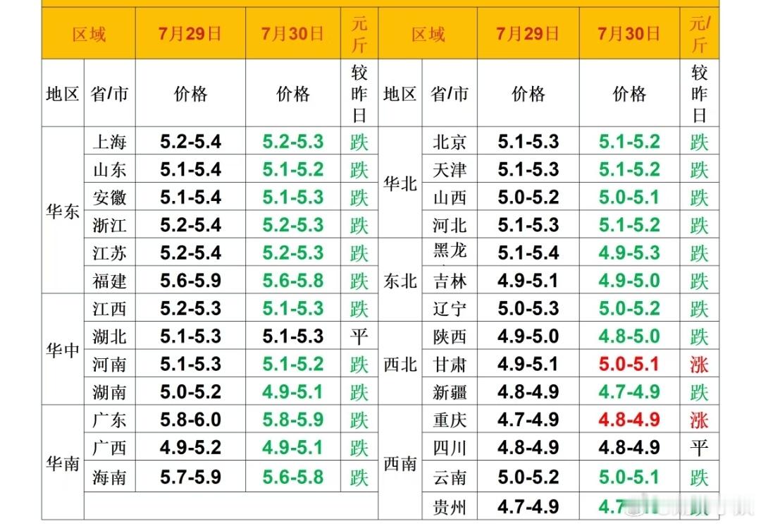 每日猪价 