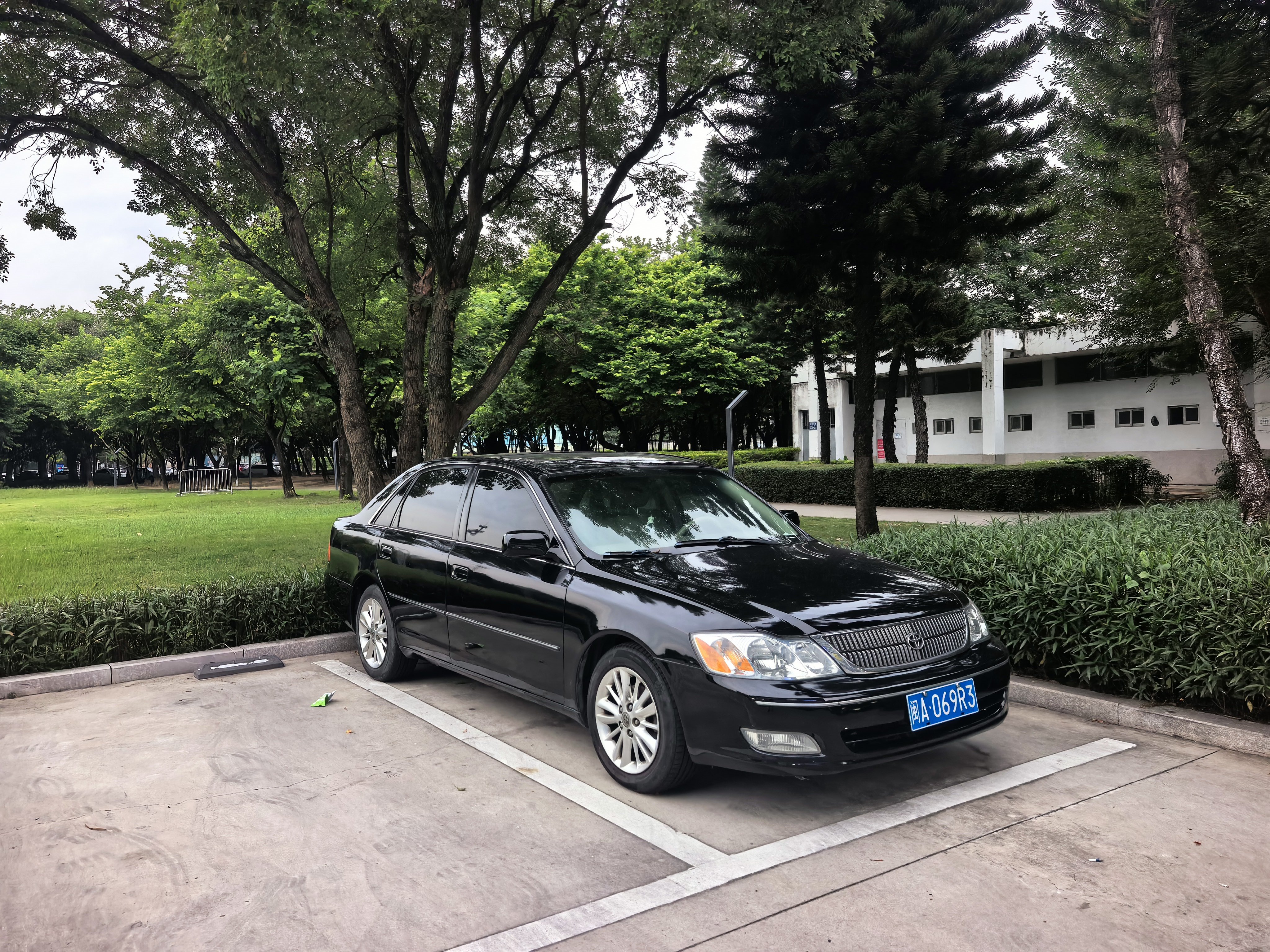新能源时代了，很多正当年的燃油车被拉去报废换成补贴，道理我都懂，但还是觉得有些可