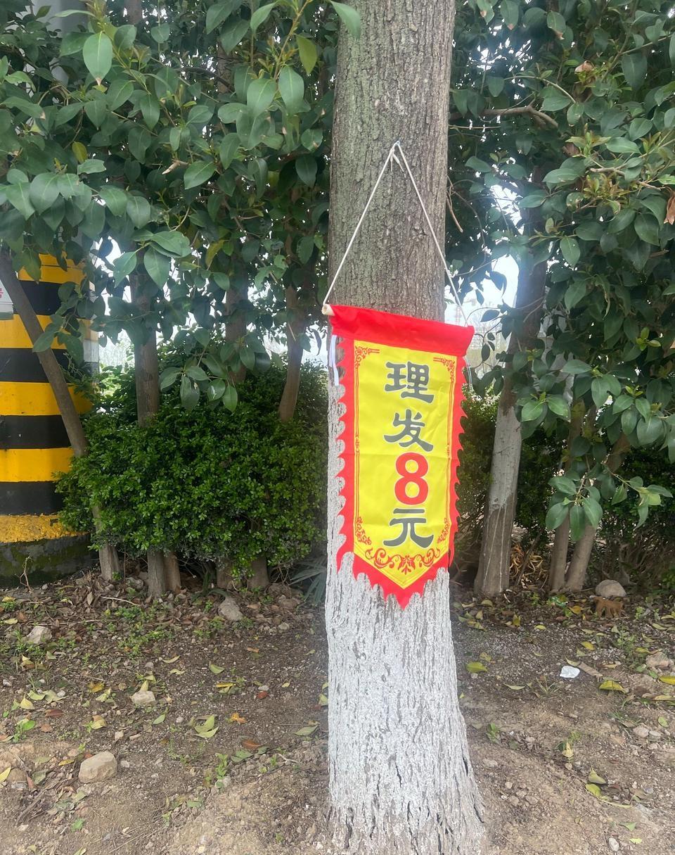 房租给不起了，
出来摆摊，
8块钱一个头，
应该是全国最低价了吧？