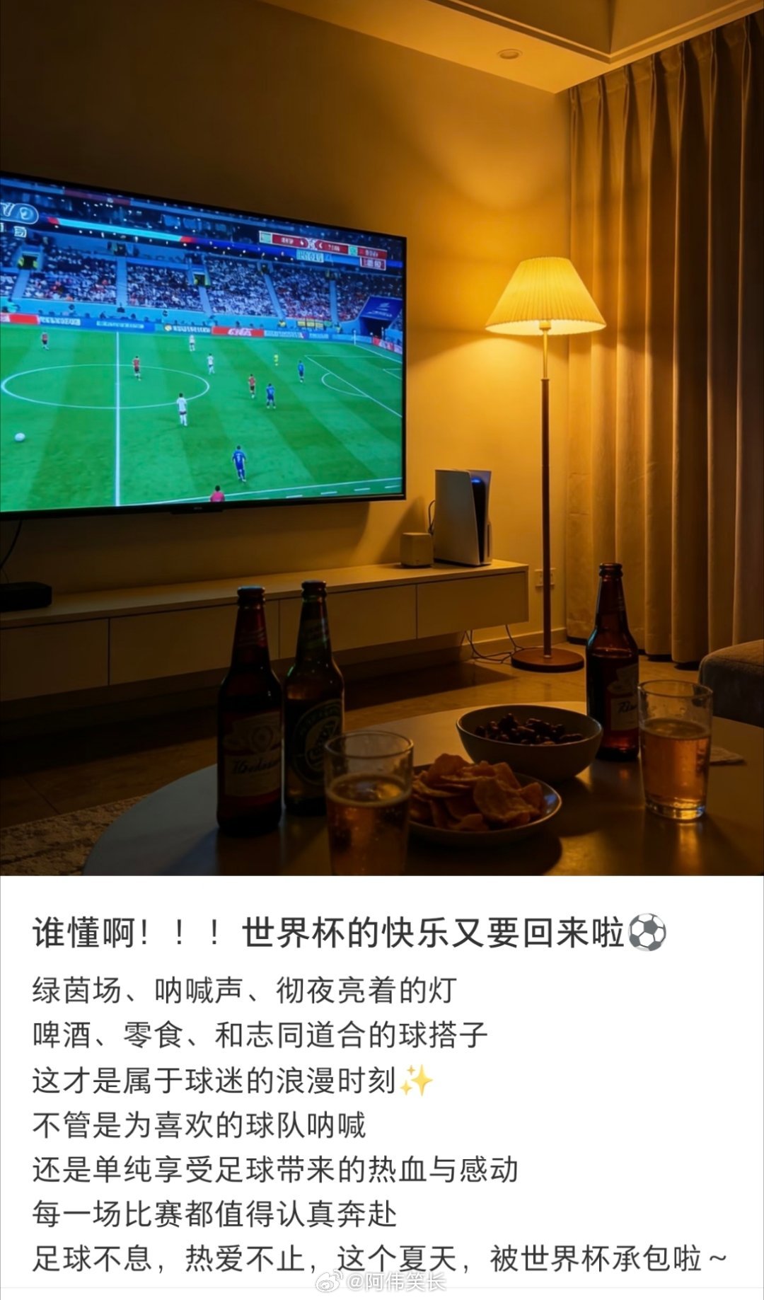 终于体会到在家看球的快乐了非正经观战世界杯