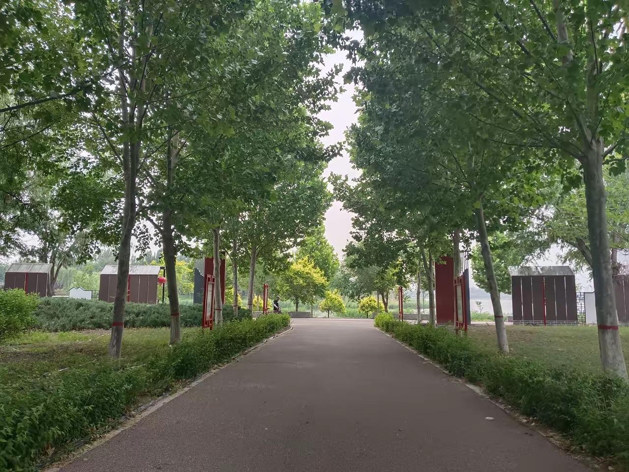 努力未必能兑现，但躺平注定没收获。 你尽管去耕耘，时间自会给出答案。 把当下做扎