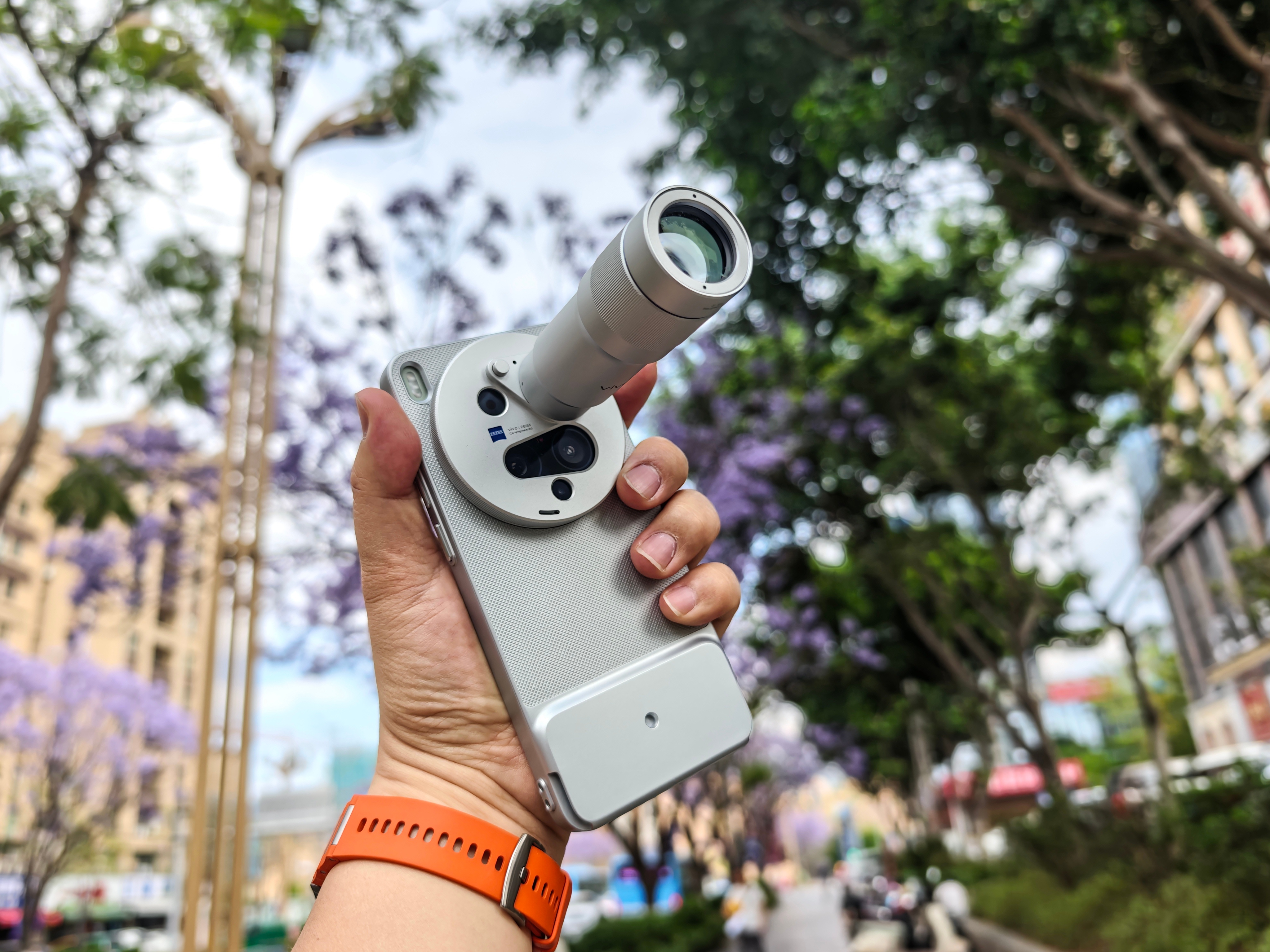 出门去拍蓝花楹了，一会儿给你们上成果