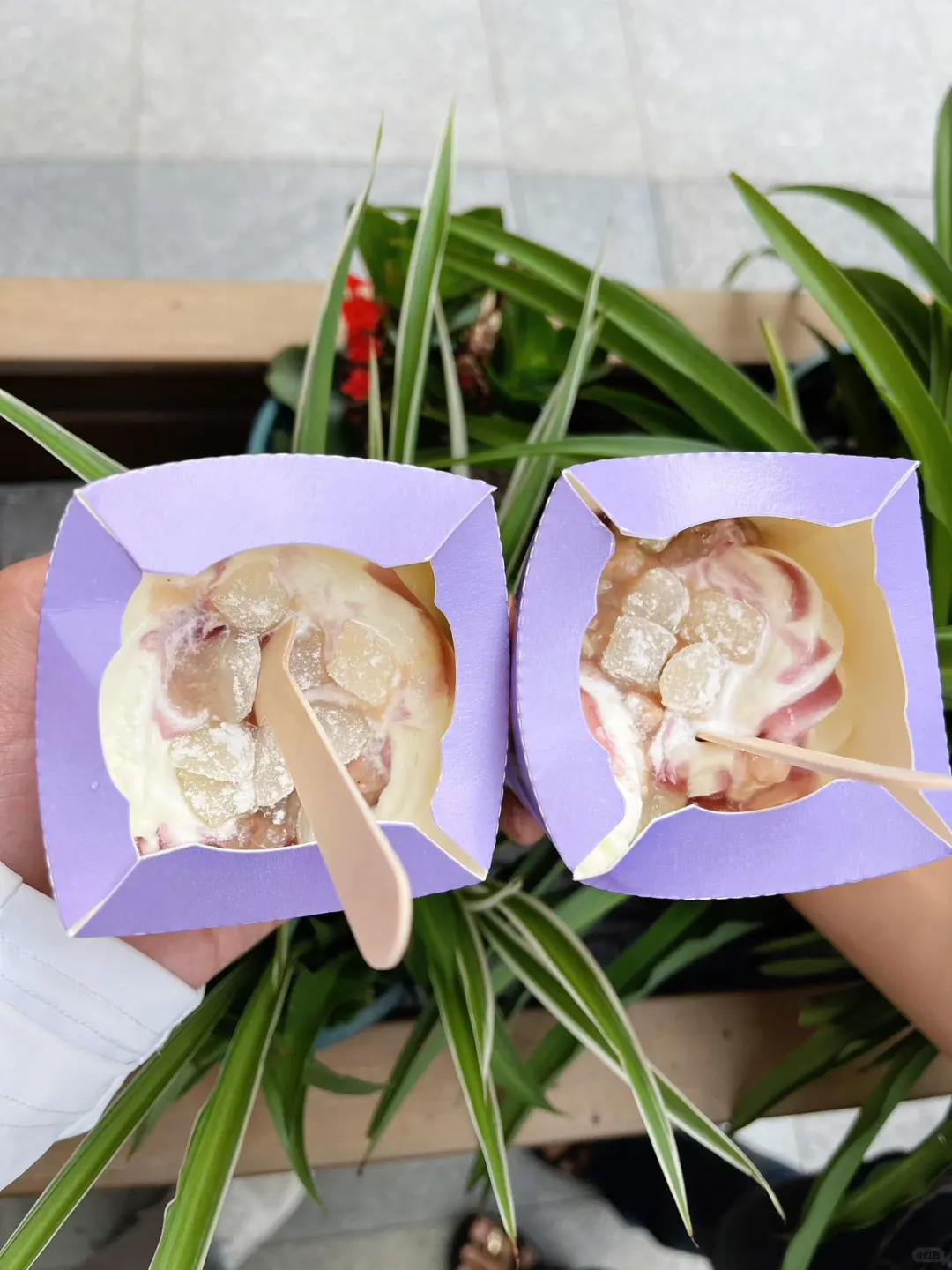就在麦麦｜感受小丸子的萌趣🍦