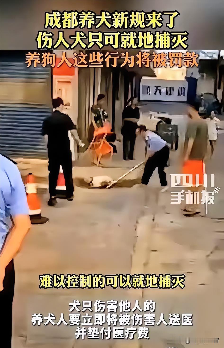 成都养狗新规落地，专治各种不文明养狗乱象
 
成都出了个养狗新规，直接把不少养狗