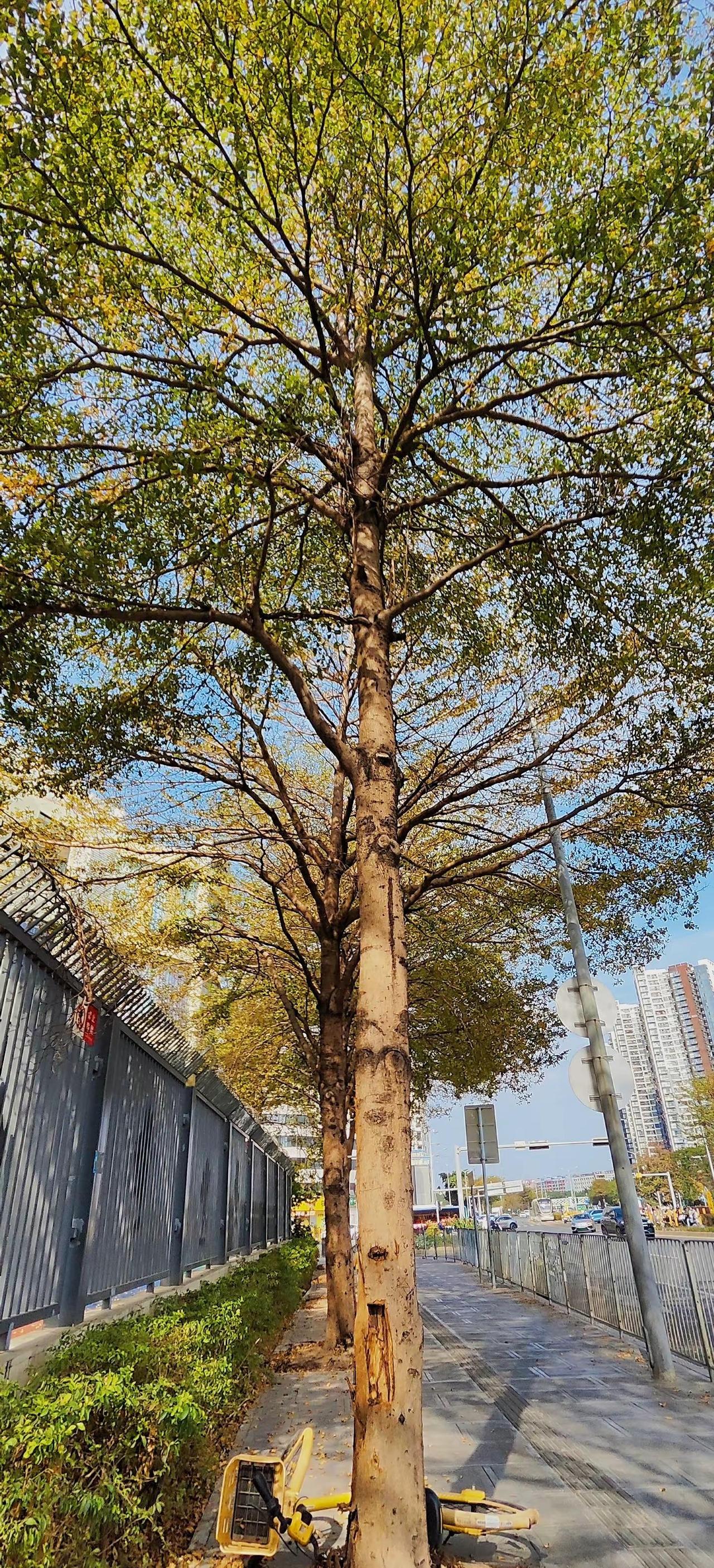 我无心博弈 只想享受这越来越平静的生活