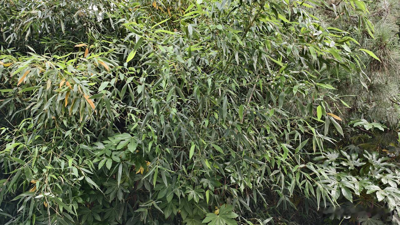 想攒够一百w需要多久。

我老公一个月5600，我一个月4100。

孩子刚毕业