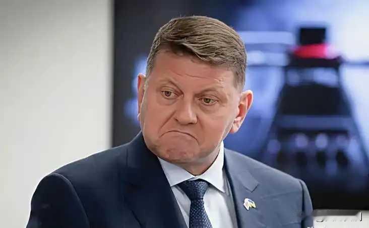 12月16日，乌克兰驻英国大使、前武装部队总司令瓦列里·扎卢日尼发出警告，战争结