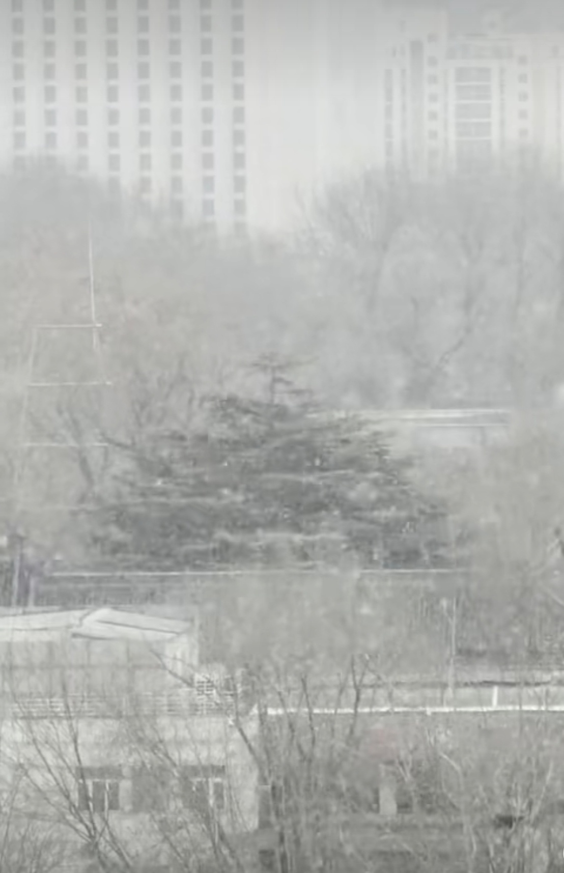 北京的雪下大了今年的初雪，比往年来的都晚一些。。大家那里下雪了吗？ 