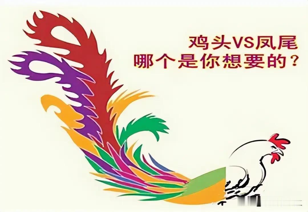 看了孩子最近的数学学习情况，我曾经特别不甘的心也没了底气，我一直纠结孩子初中择校