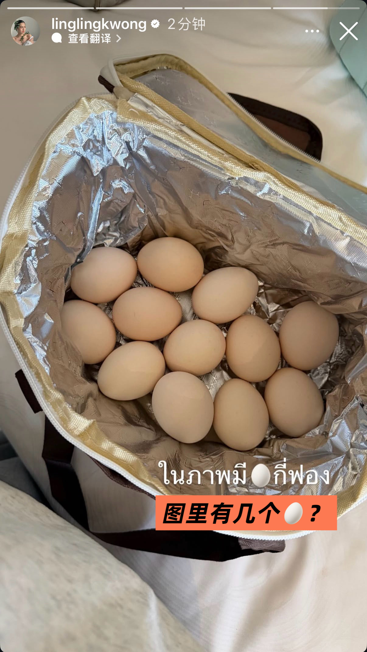 哐啷啷给自己备鸡蛋是这个画风 