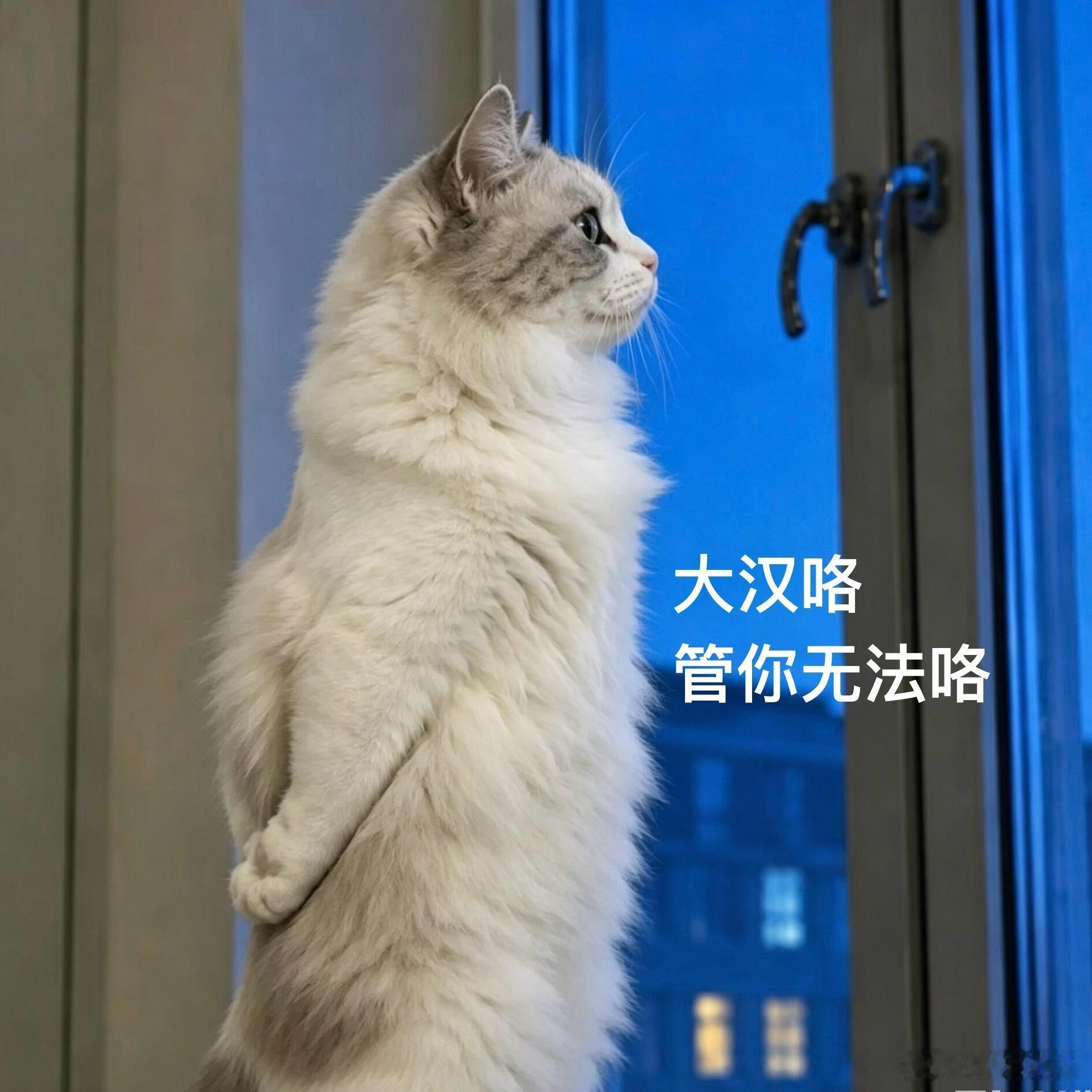因为取景地的关系，把迷墙看完了，别的不说，方芳演技太好了，老一辈牛牛的，完完全全