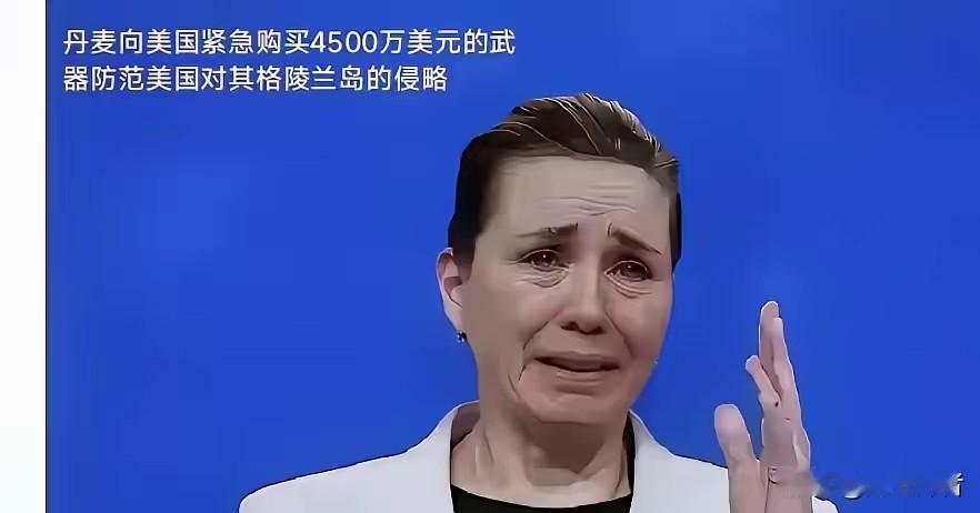 21世界最大的笑话就是:丹麦紧急向美国购买4500万美元的武器防范来美国对格陵兰