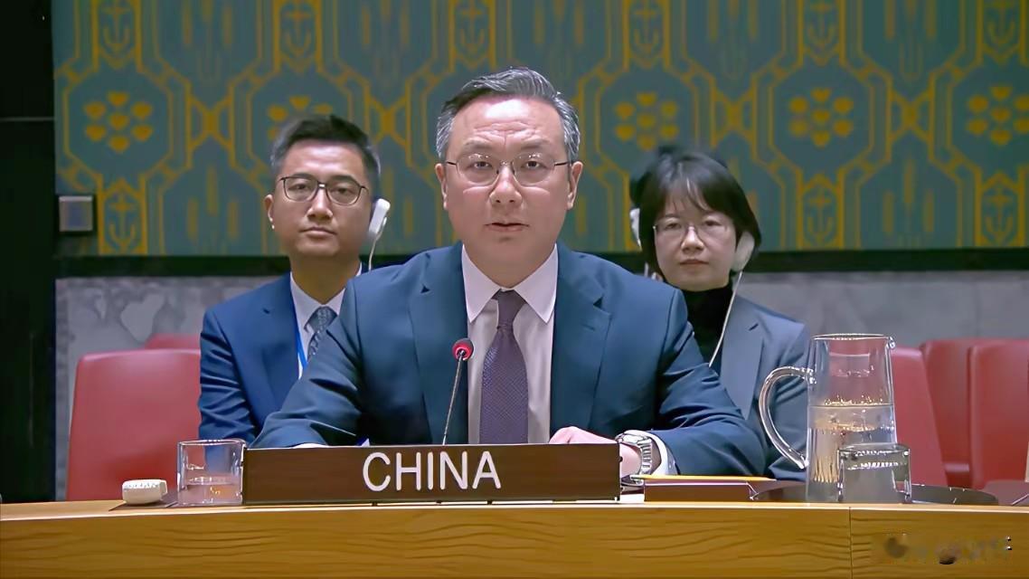 中方联合国发声：当年殖民获利国家，该承担历史责任和补偿殖民后果了！

中国代表这