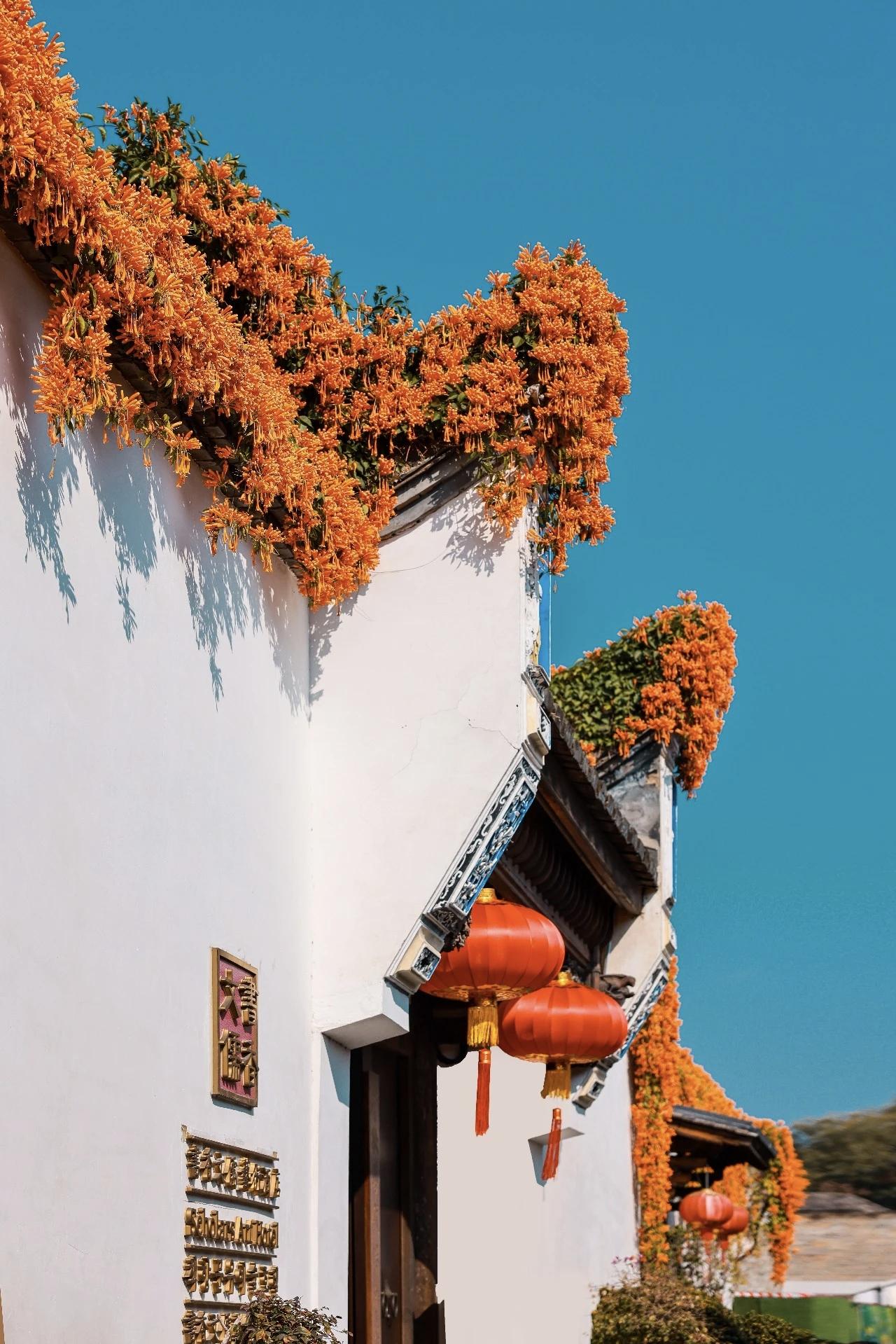 【好好地孝敬父母，因为他们才是你的幸福；好好地培养子女，因为他们才是你的希望；好