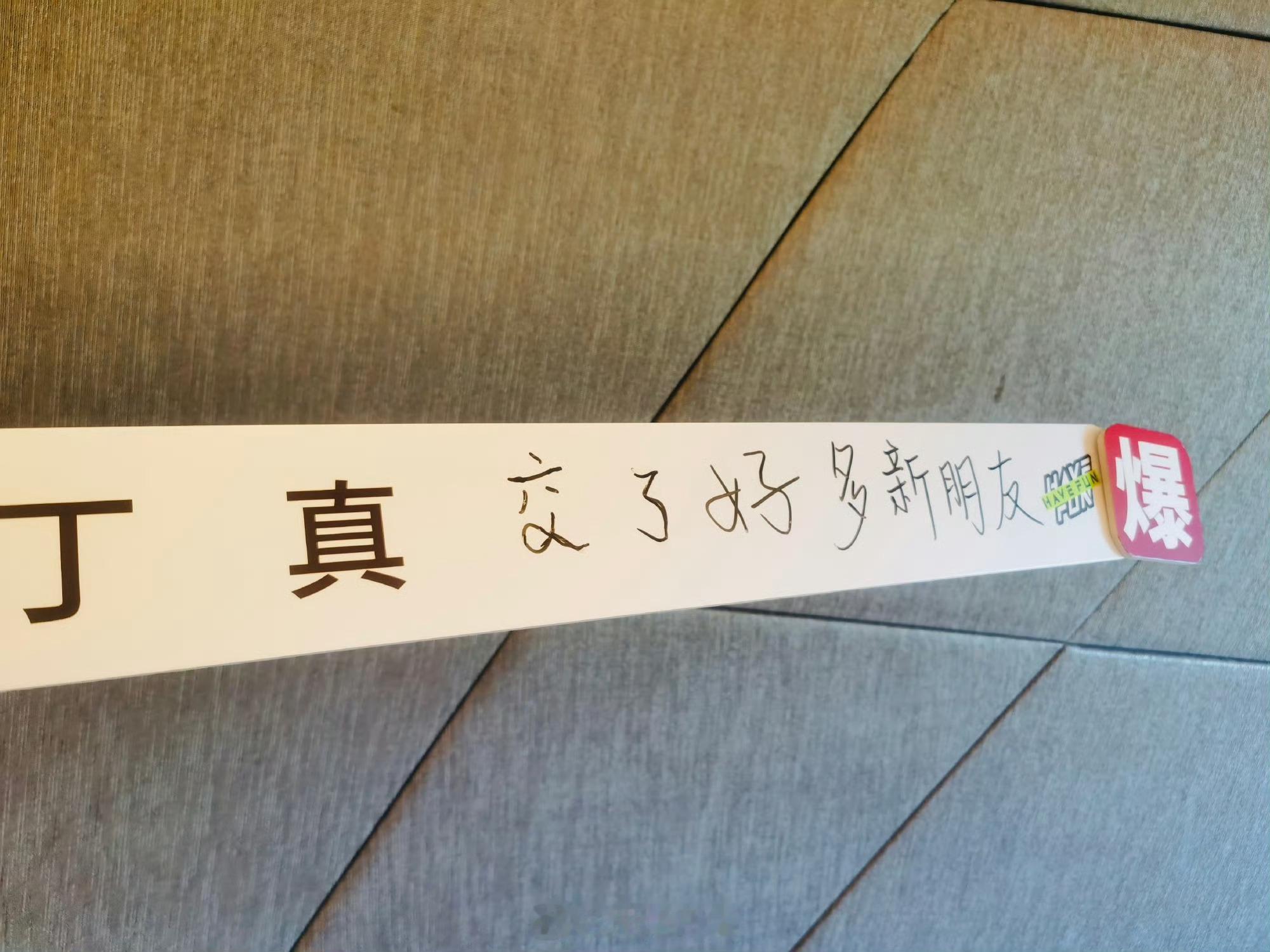 传下去苗苗要给丁真当靠山 苗苗给丁真送