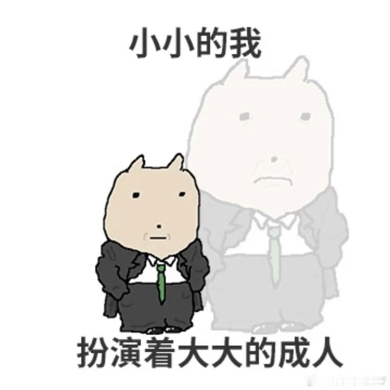 年龄应该从你主动愿意成长的年份开始算起，如果你从某个年份起拒绝长大，那你七老八十
