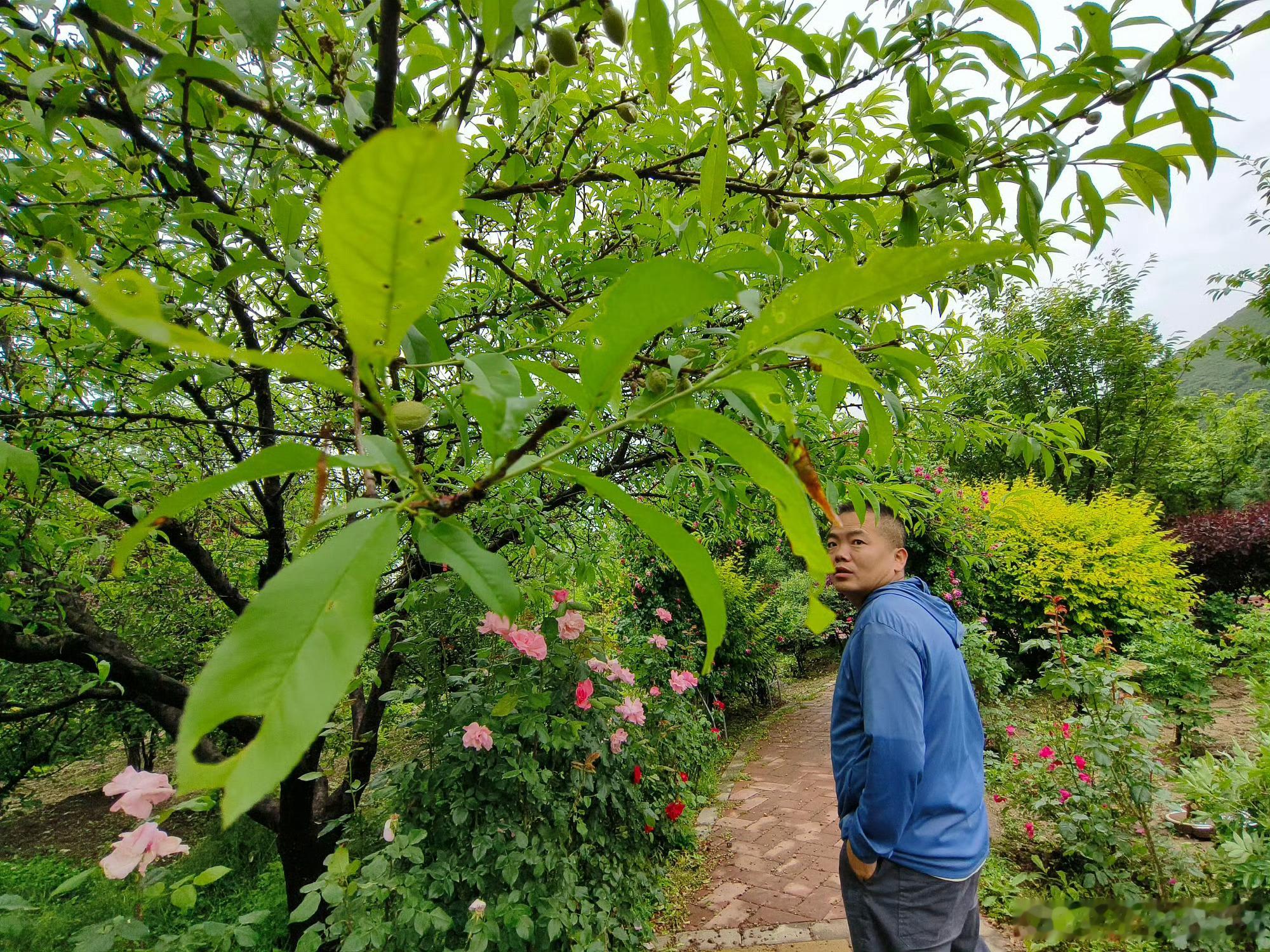 甘肃贵清山植物园的生态之美  【生态为基，贵清山植物园绘就绿色画卷】 雨后初霁，