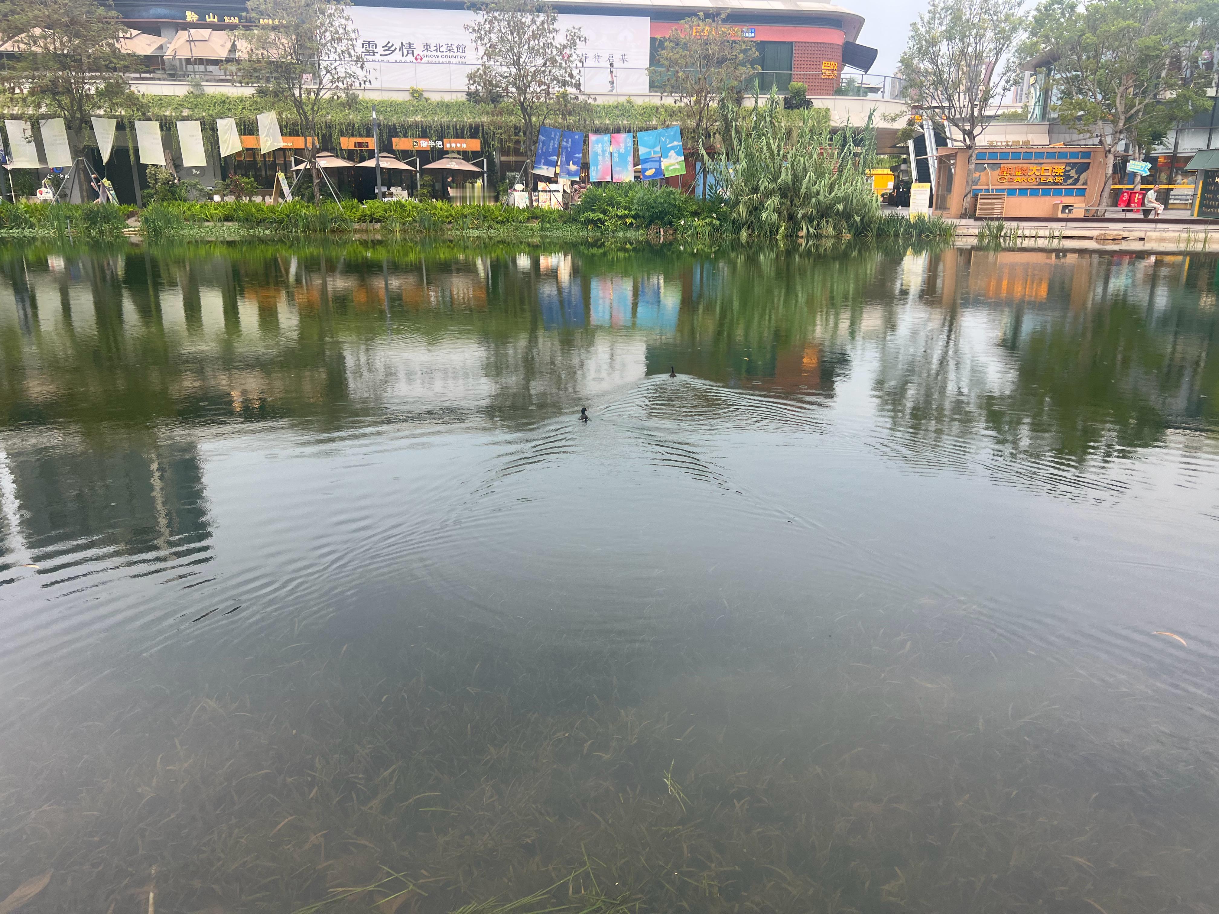 人生是一个漫长的旅程，看见各种风景，只是一种最普通的奖励；能看见身在风景中的自己