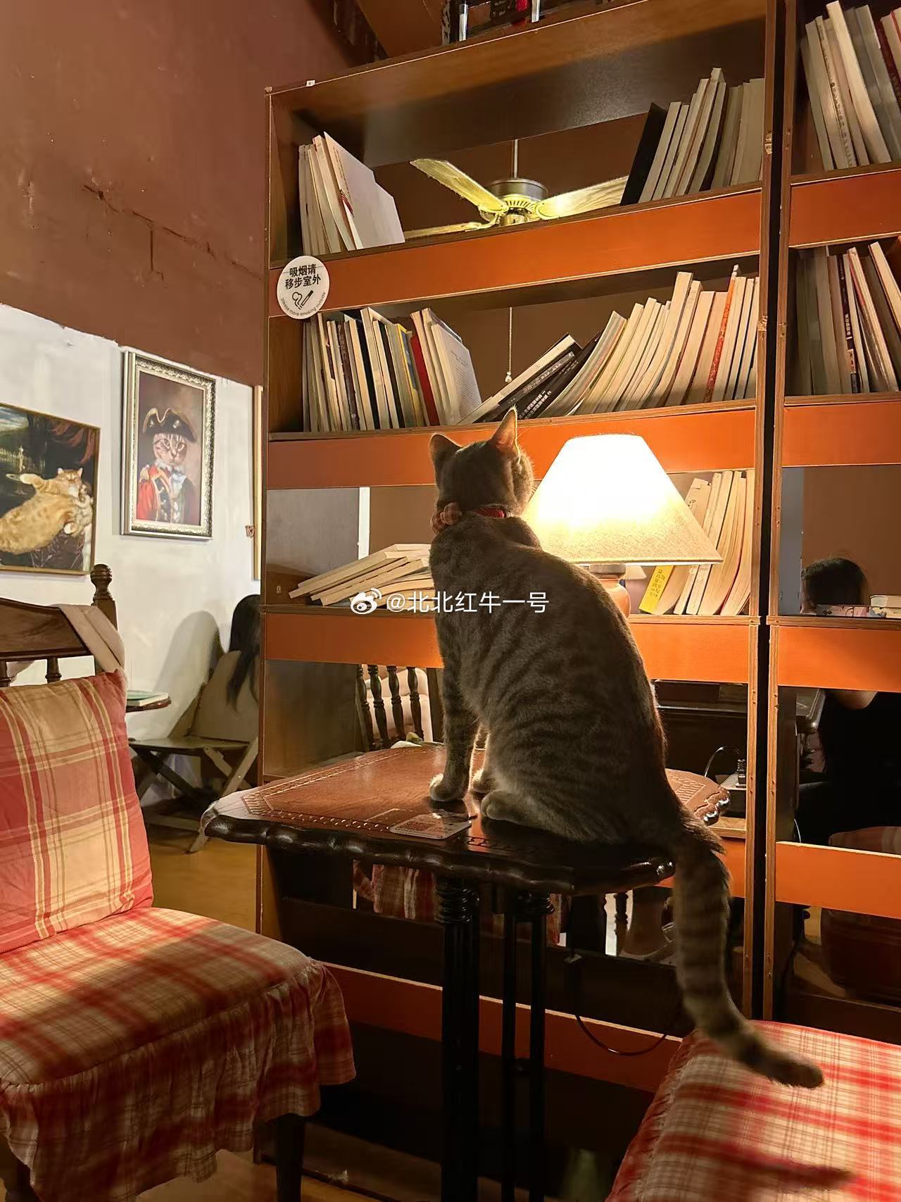 午评：今日早盘市场结构性分化明显，培育钻石、电子元件大涨6%领跑盘面，PCB、电