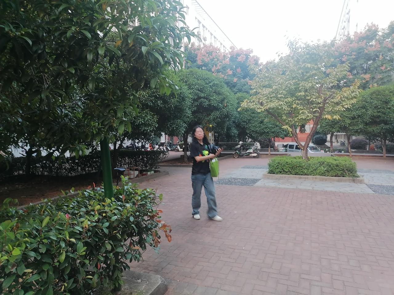 筹码已失，柯P支持度跌破两成。
台湾《美丽岛电子报》董事长吴子嘉称，最新大选民调
