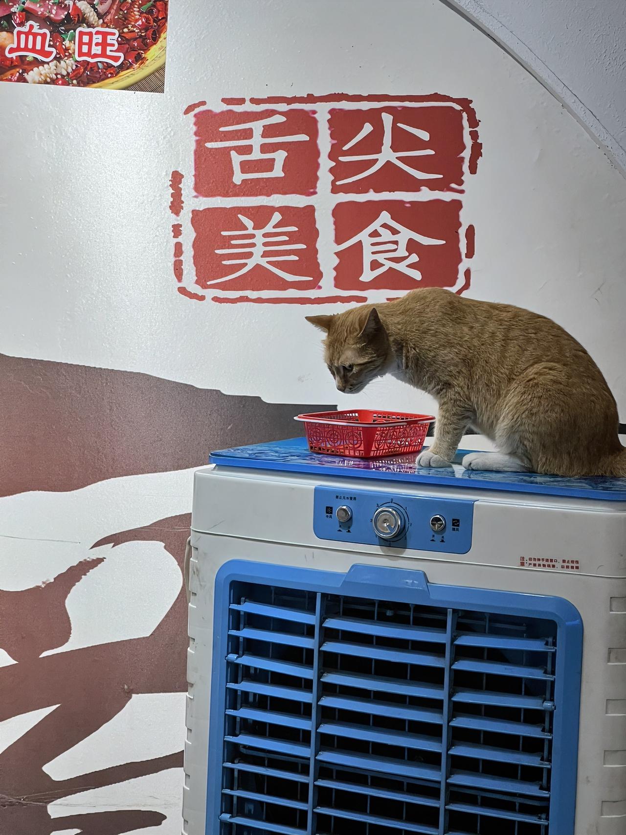 这段话让人感触很深：最终我们会明白，爱的意义不在占有，而在照亮。那些中途离场的人