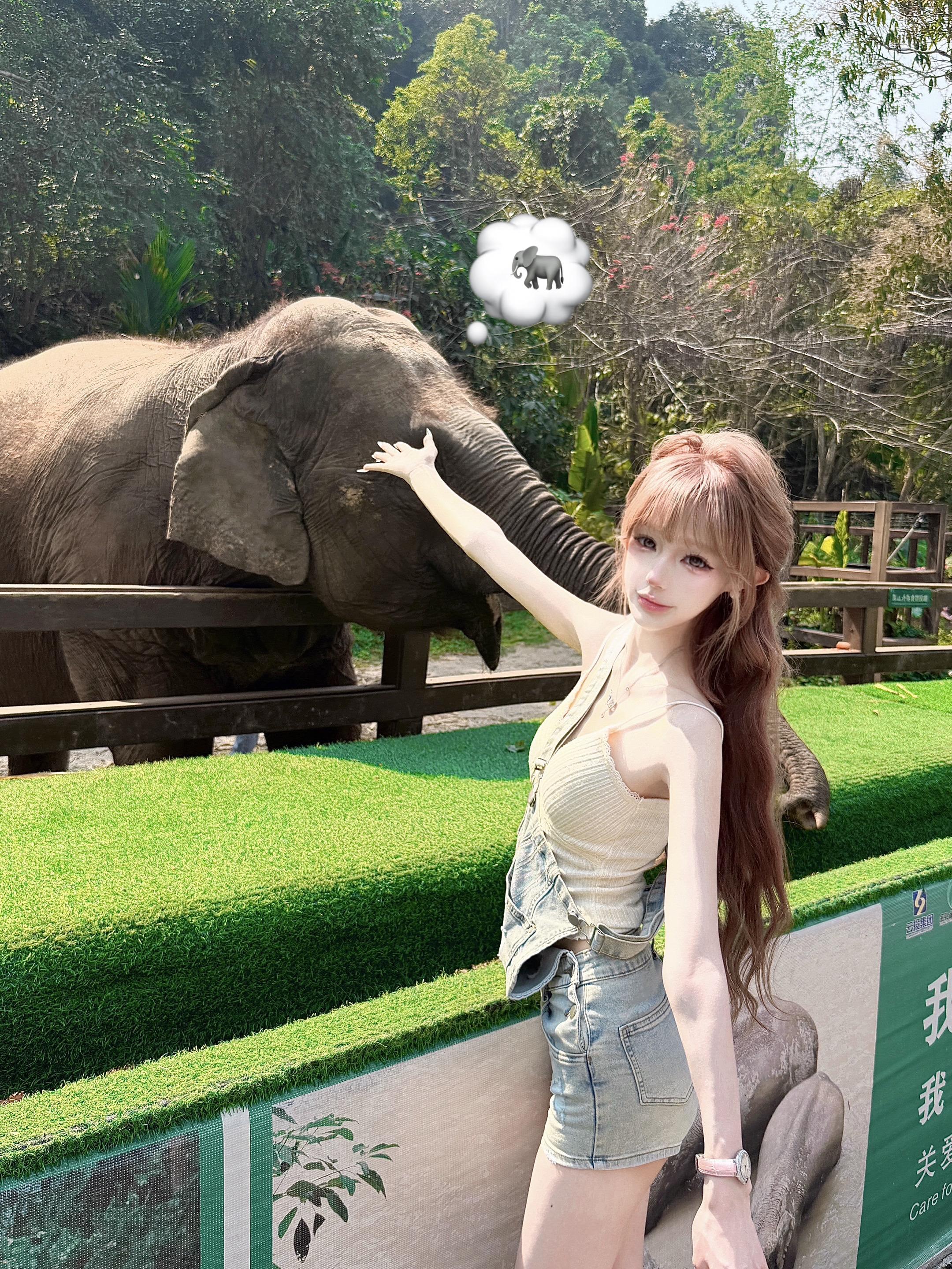 摸到大象了!😎