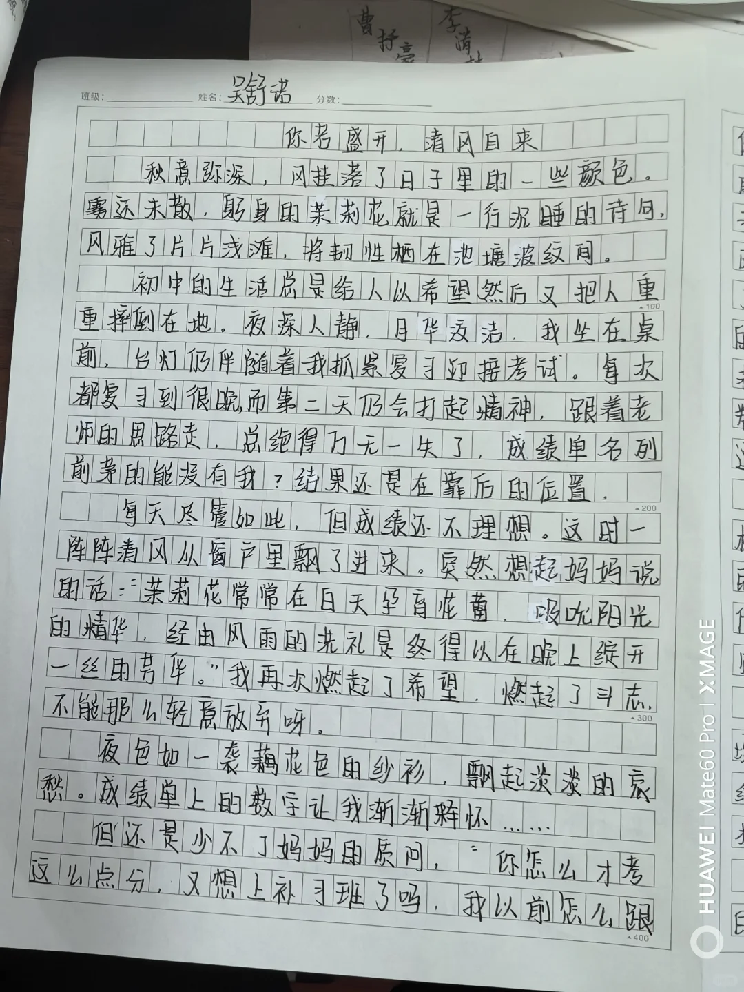 双胞胎妹妹的作文显然比姐姐写的好多了