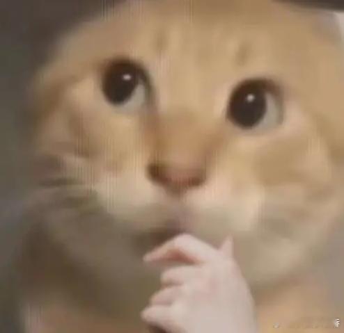 19岁女孩挪用1700万当榜一大姐19岁中专辍学管全家档口的钱，没财务没监管，大