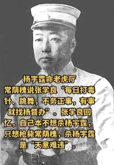历史人物 杨宇霆