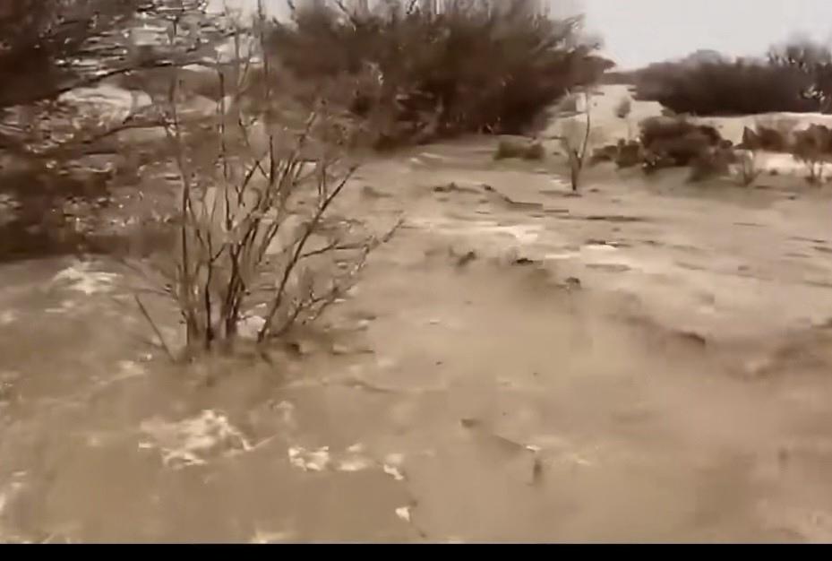 活久见！什么时候见过骆驼在湖里撒欢?塔克拉玛干发洪水了！3小时倒完一年的雨，这到