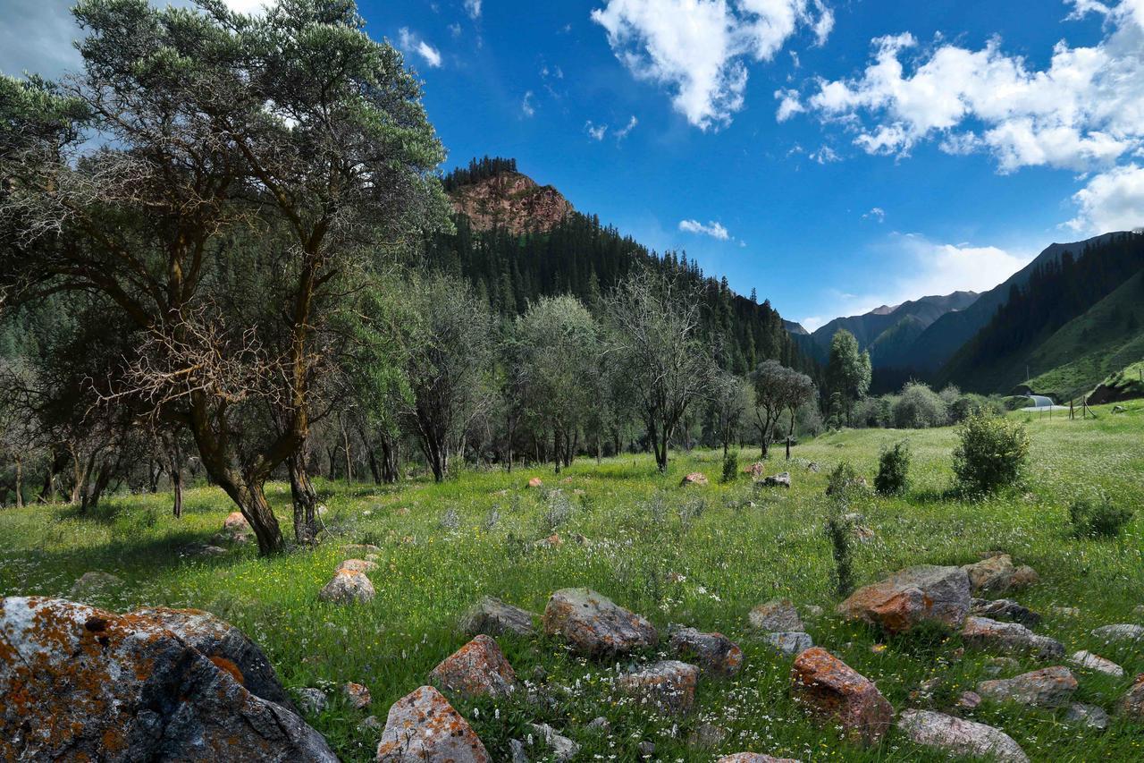 每个人心中都有一条路，通往自由和远方。对我而言，它就是——祁连9号公路。这条路蜿