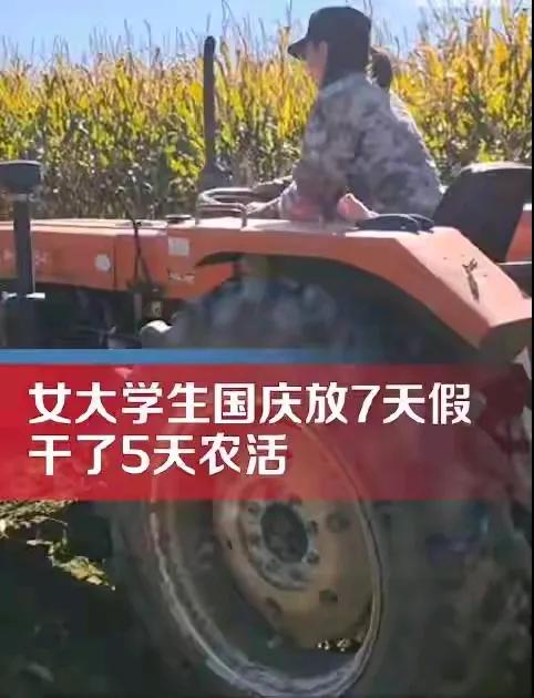 ＂爸爸妈妈，我国庆节放假七天，要回来给你们帮忙收割玉米了！＂这个就吉林乡下的一个