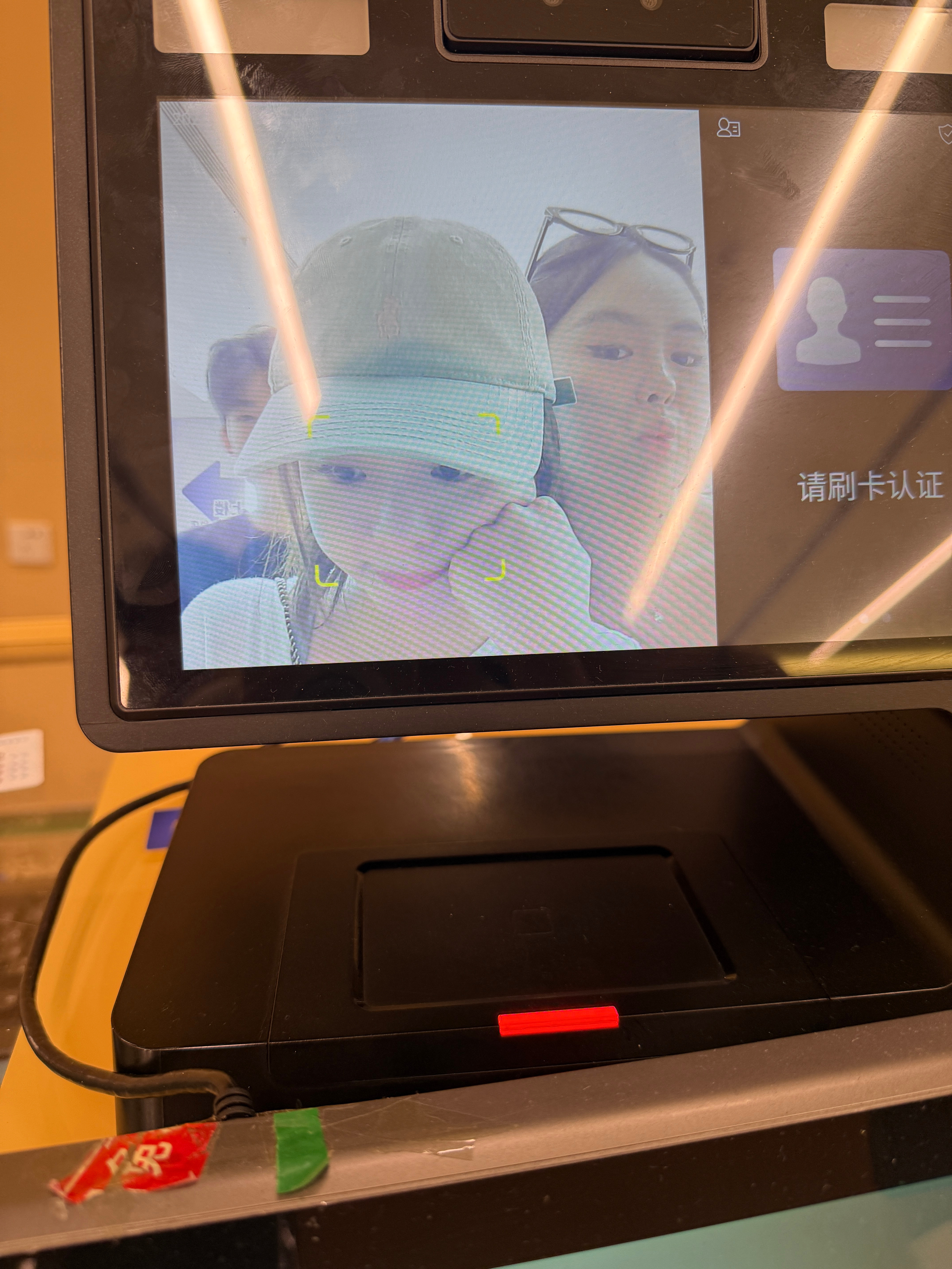回家了龟 ​​​