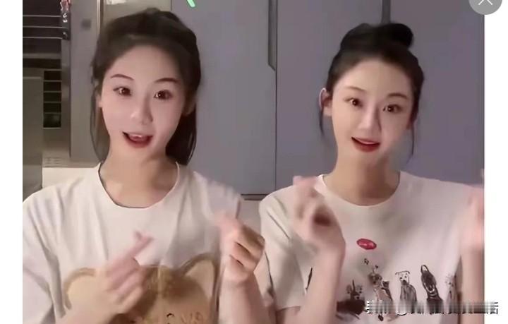 苗苗带着妹妹苗艺博闯荡影视娱乐圈。
实话实说，姐妹俩长得挺像的，但是姐姐长得更精