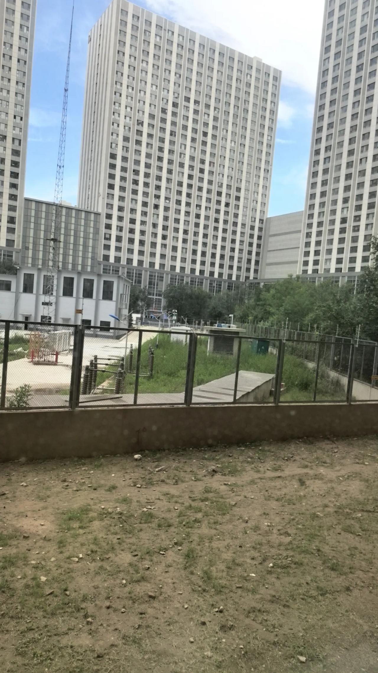 今天早上，在呼和浩特市赛罕区的一个早市上，有人卖农村甜玉米，10元钱4根，比别的